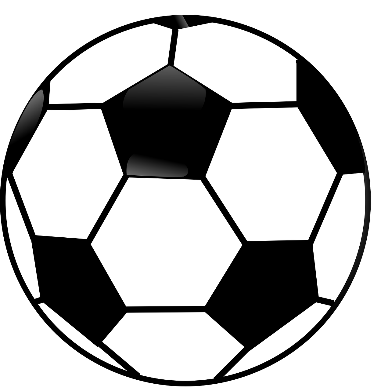soccer ball, ball, black and white-310065.jpg